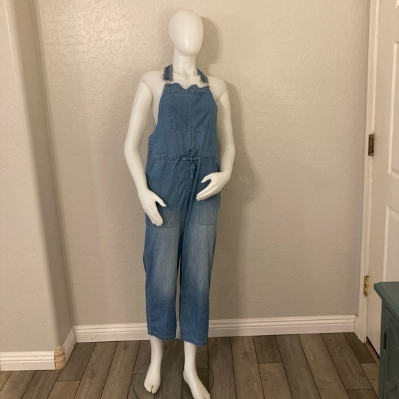 Belinda Blue Chambray Overalls Medium - Picture 1 of 14